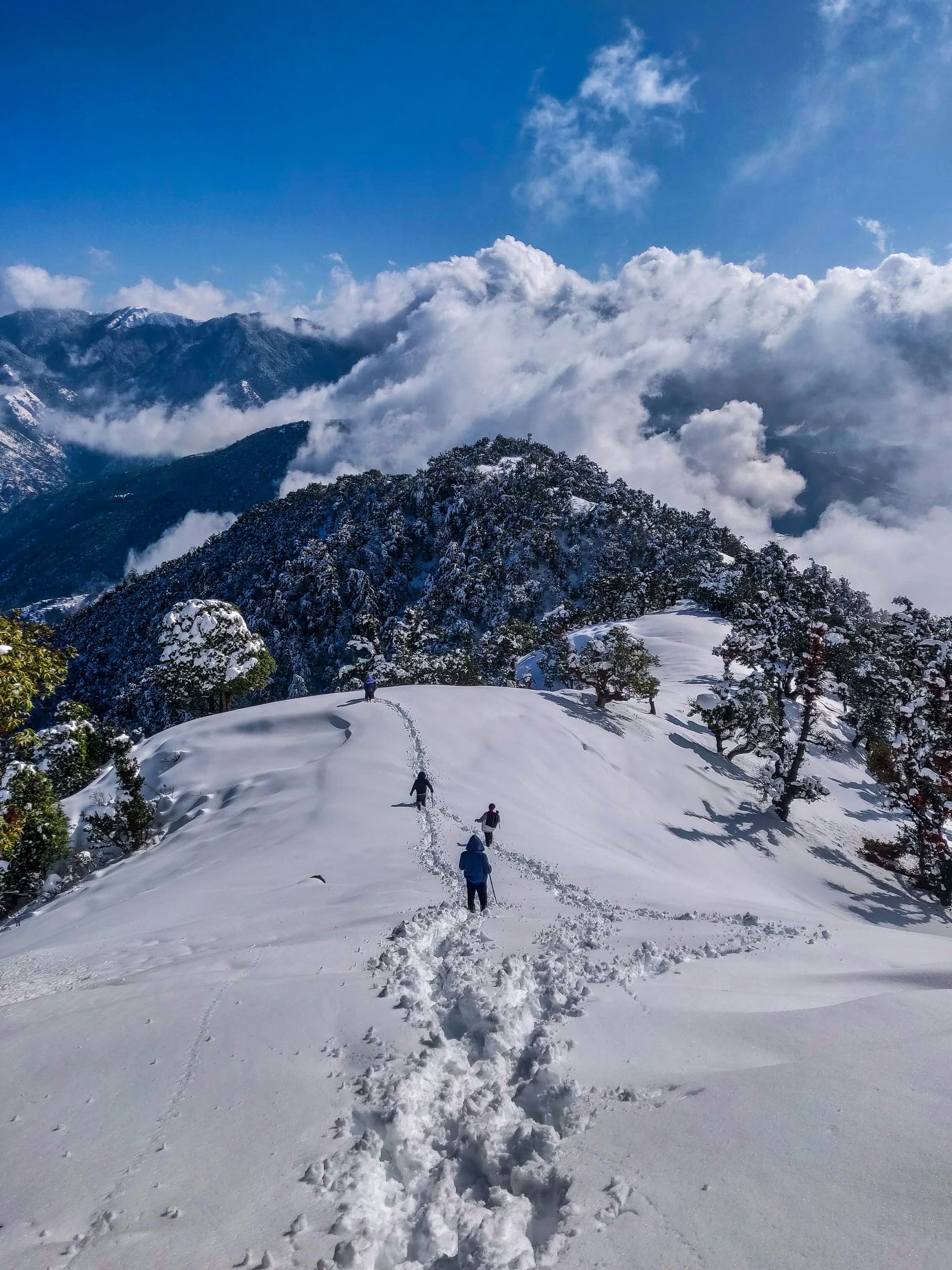 Delhi to Yulla Kanda Trek (Highest Krishna Temple in the World) - Image 3